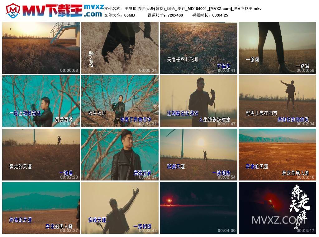 王旭鹏-奔走天涯(替换)_国语_流行_MD104001